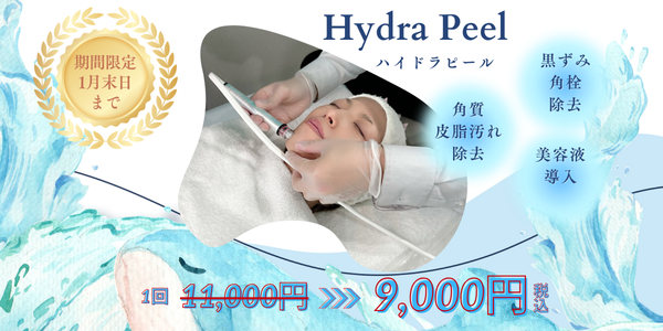 ���m�@���e�畆�ȁ@����@�L�����y�[��