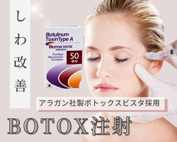 �{�g�b�N�X���ˁ@�����s