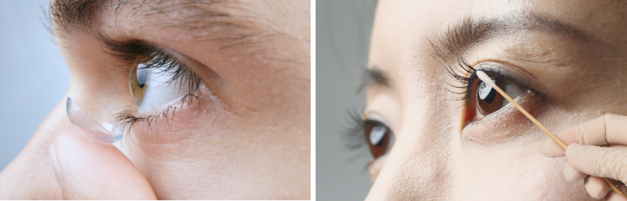 ��×p�܂т̈�э�:�r�}�g�v���X�g�_��]