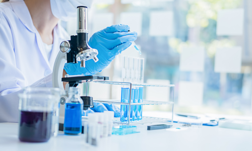 �q�����p�X�L���P�A�@�畆�ȁ@�m�u