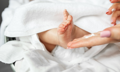 �q�����p�X�L���P�A�@�畆�ȁ@�m�u